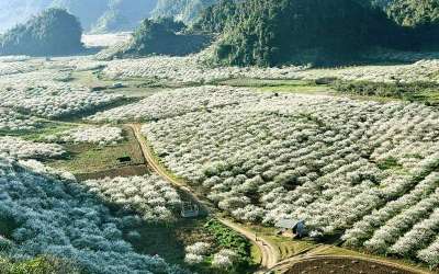 ฤดูไหนสวยที่สุดสำหรับการไปเที่ยวหมกโจว